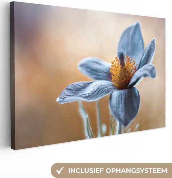 OneMillionCanvasses Canvas schilderij - Bloemen - Blauw - Botanisch - 60x40 cm