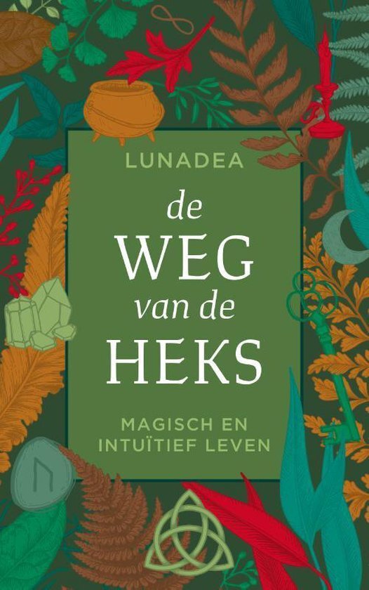 BookSpot de weg van de heks