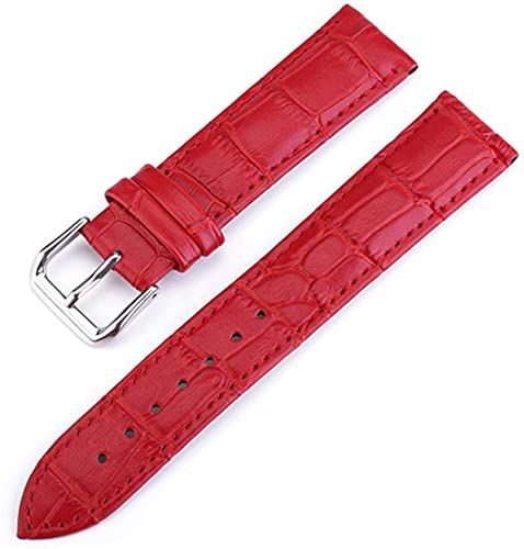 Chtom Dames lederen horlogeband universele lederen metalen pin gesp stalen gesp-riem 10-24mm multicolor horlogeband (Color : 19mm|dark Blue)