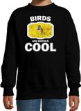 Bellatio Decorations Shoppartners Bv Dieren vogels sweater zwart kinderen - birds are serious cool trui jongens/ meisjes - cadeau blauwborst vogel/ vogels liefhebber - kinderkleding / kleding 122/128