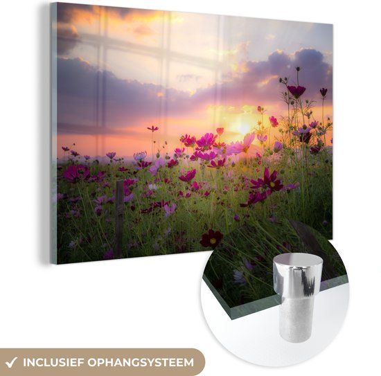 MuchoWow® Glass Painting 90x60 cm - Sunset - Flowers - Pink - Nature - Green - Photo on Glass - Paintings