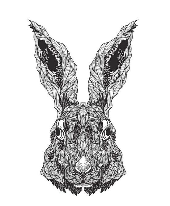 Mindful kleuren voor volwassenen - Paperback - Diverse auteurs