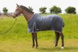 Harry's Horse Zomerdeken Harry's Horse Premium Donkerblauw - 165/215