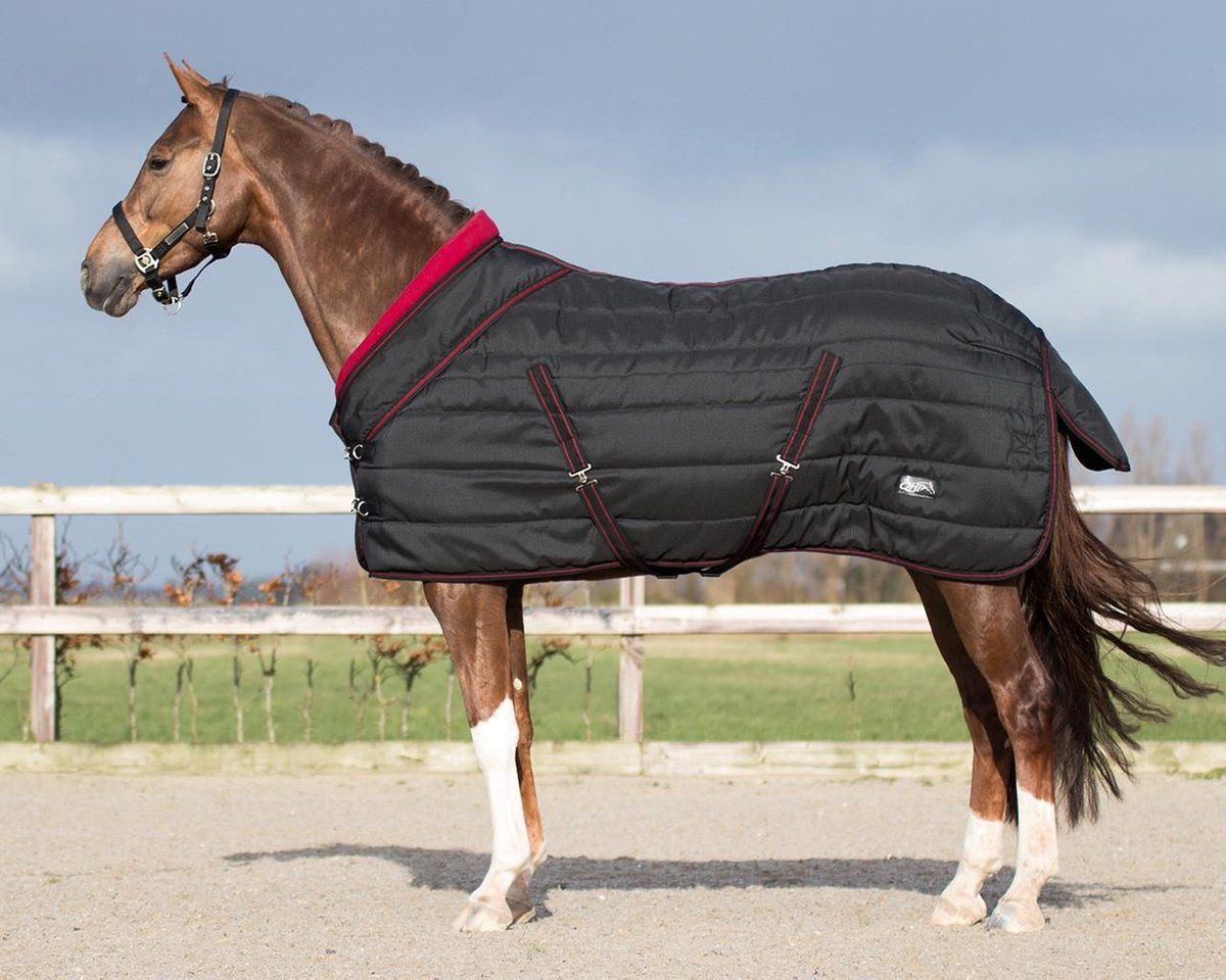 QHP Staldeken luxe Collection 200gr - black - maat 155/205
