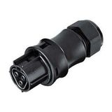 Stekker Wieland Electric Stekker GESIS IP68 3-polig H luchtklauw lichtgrijs pers 10-14mm incl. 100 stuks