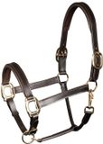 Harry's Horse Halster Padded Leer Bruin - paard