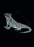 Komar Iguana Black poster muurschildering woonkamer slaapkamer deco kunstdruk | zonder lijst | P077D-50x70 | 50x70 cm (breedte x hoogte)