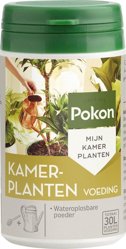 Pokon Kamerplanten Voeding Poeder - 100gr