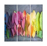 Homemania Fotokleuren, 3 stuks, natuur, voor woonkamer, slaapkamer, meerkleurig, 69 x 3 x 50 cm, HM203PKNV-8, polyester, hout