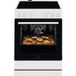 ELECTROLUX LKR62001CW