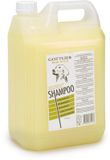 Gottlieb Shampooing pour chien - 5L