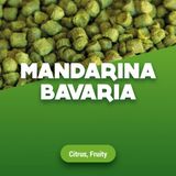 Mandarina Bavaria Houblons en pellets 100 g