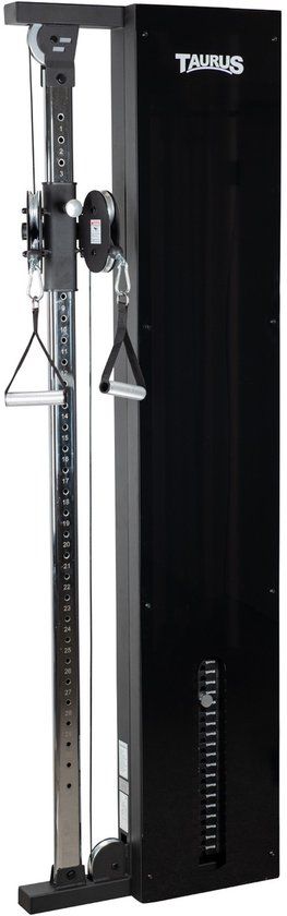 Taurus Design Line Single Pulley 67,5 kg graphite