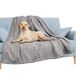 PAVILIA Waterdichte deken voor bank, bank, waterdichte hondendeken voor grote hond, puppy, kat, huisdierdeken beschermer | pluche zachte, warme donzige sherpa-deken bedsprei, lichtgrijs, 60 x 80 cm