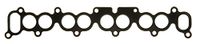 Gasket, Icecat Gasket, intake manifold