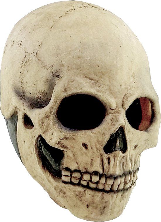 Vegaoo Bone Skull Adult Latex Costume Mask - Halloween - One Size