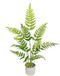 Kunstplant Bosvaren Kunstplant in Pot, Grote Kunstvaren, Kamerplant, Groene Plant, 76 cm