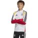 ADIDAS PERFORMANCE Functioneel shirt 'Germany 26 Tiro' goudgeel / rood / zwart / wit