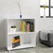 Casaria Boekenkast Vela - 2 Vakken Verstelbaar 77x60x28 cm - Wit