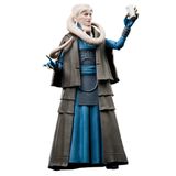 Hasbro Star Wars The Black Series Bib Fortuna Speelgoedfiguur