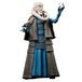 Hasbro Star Wars The Black Series Bib Fortuna Speelgoedfiguur