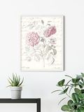 Komar Poème Rose Muurafbeelding - 30 x 40 cm
