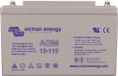 AWN Victron AGM accu 12V/110Ah M8 insert - 8719076036975