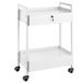 VEVOR Laboratoriumwagen met 2 niveaus, medische trolley van roestvrij staal, serveerwagen, grote draagkracht 100 kg, met 2 laden, voor laboratorium, salon, ziekenhuis, tandgebruik, wit