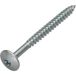 Vis Penture 6x70 Filetage Partiel Torx T30 Acier Zingué-400 Pièces