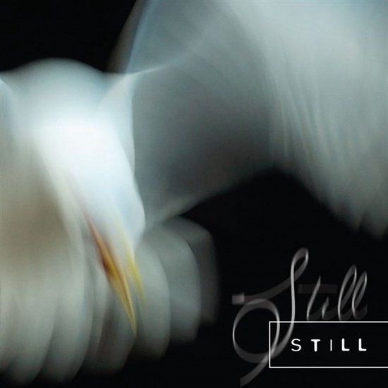 Still Aria Rostami & Daniel Blomquist - Still (CD)