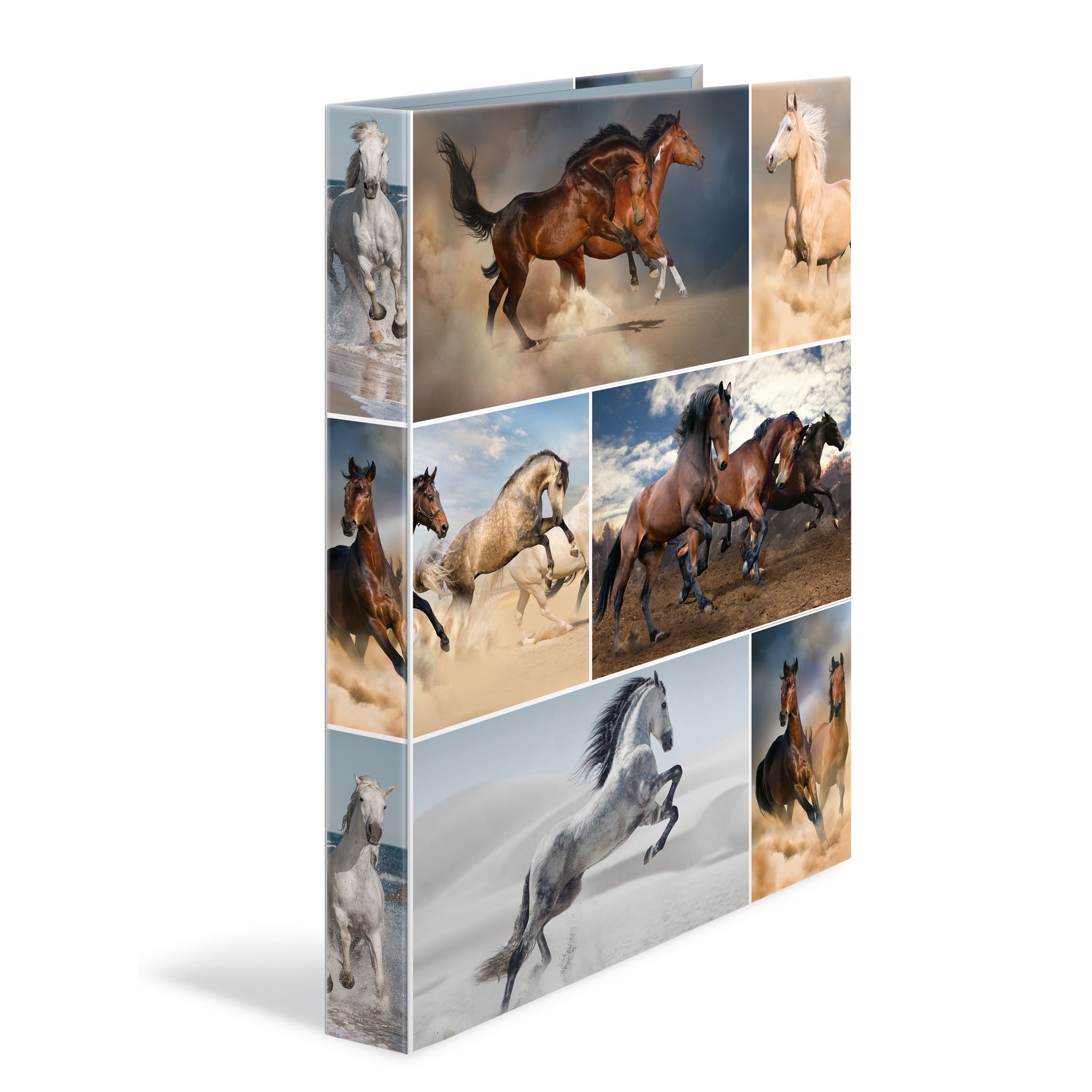 HERMA 19429 - Mappen - Karton - Multi - 31,50 cm