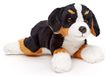 Uni-Toys Berner Sennenhond pluche (zonder lijn) - 21 cm