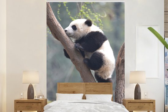 Nr1Wallpaper Behang - Fotobehang Panda - Dier - Boom - Breedte 225 cm x hoogte 350 cm