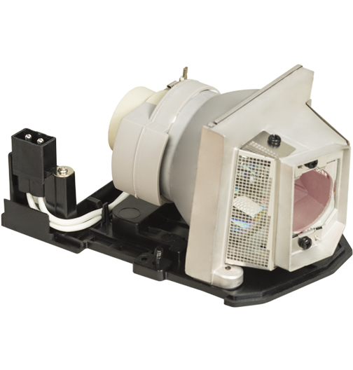 Ricoh OEM Lamp For MPN: type 2