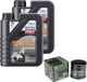 Arctic Cat Kit d'entretien pour Arctic Cat Cat 650 FIS V2, année de construction 2006, composée de : huile moteur LiquiMoly 10W-40, 2 litres, et un filtre à huile HiFlo HF204