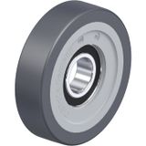Blickle FPTH 100x25/25-15K Geleidingsrol