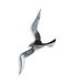 Casablanca Möwe AluObject Wandobject Decoart Bird Vogel