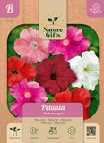 Baltus Petunia Balkonmengsel bloemenzaad Nature Gifts