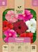 Baltus Petunia Balkonmengsel bloemenzaad Nature Gifts