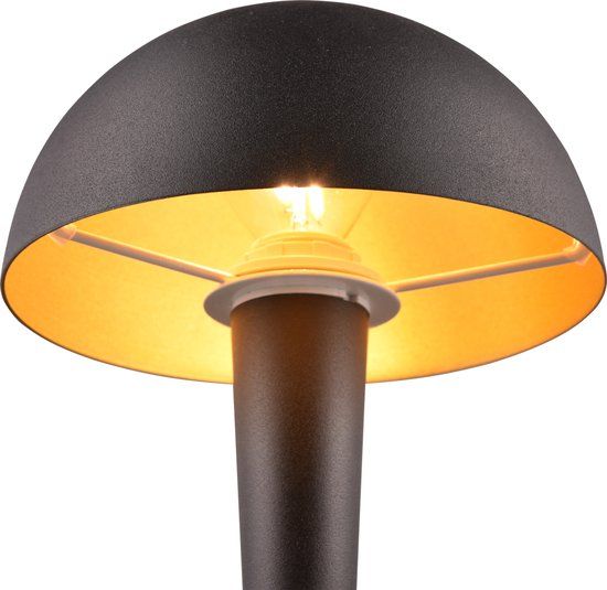 RL LIVE YOUR LIGHT REALITY CANARIA Tafellamp Zwart-goud E14
