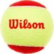 Wilson Starter tennisballen