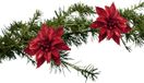 Cosy&Trendy Cosy and Trendy Kerstboomversiering bloemen op clip - 2x st - rood - 8 cm - glitters