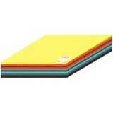 CANSON Iris Vivaldi, gekleurd papier, DIN A4, 185 g/m², 12 krachtige kleuren, 120 vellen