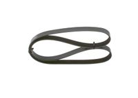 BOSCH Keilrippenriemen 1987947577