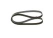 BOSCH Keilrippenriemen 1987947577