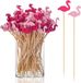 Brochettes - Été - Brochettes - Fingerfood - Bois - Brochettes de fruits - Décoration de cocktail - Gâteau aux fruits - Desserts - Aliments