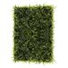 HOME DECO FACTORY, HD8109, Kunstplantenwand 60x40 cm - Elegante interieurdecoratie, Duurzame plant, Rustgevende sfeer, Gemakkelijk te integreren - Groen