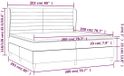 vidaXL Boxspringbed met matras, stof, lichtgrijs, 200x200 cm