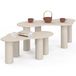 Idmarket - Lot De 2 Tables Basses Gigognes Organique 80/110 Cm Bois Beige