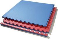 Toorx 1 m2 Vechtsport Mat 2 cm - 100x100x2 cm - Tatami Mat - Judo mat voor thuis